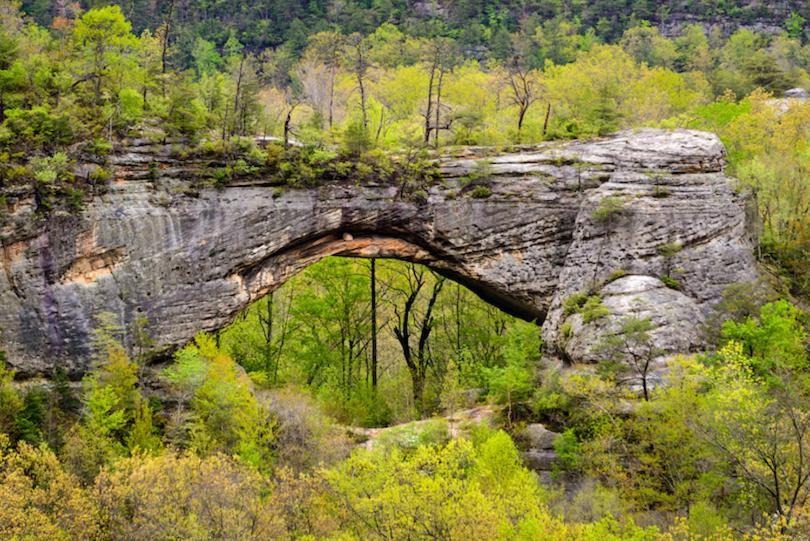 Big South Fork Trail Lodge Stearns Luaran gambar